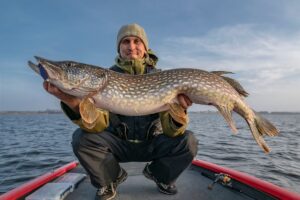 Nachhaltigkeit und Fischereivorschriften in Norwegen
