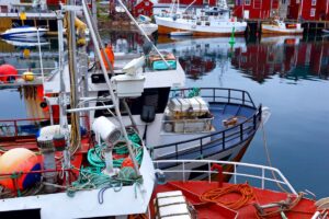 Dorschangeln auf den Lofoten – Ein Erlebnis der Extraklasse